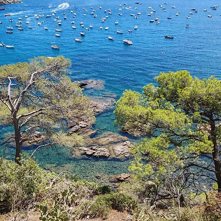 Appartamento Les Goélettes Location Saisonnière