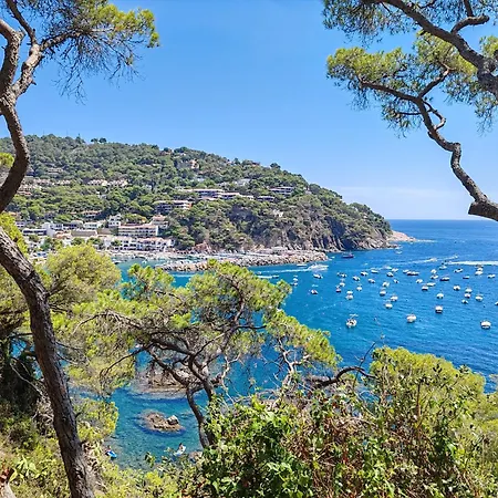 Les Goélettes Location Saisonnière Appartamento Saint-Cyprien (Pyrenees-Orientales)