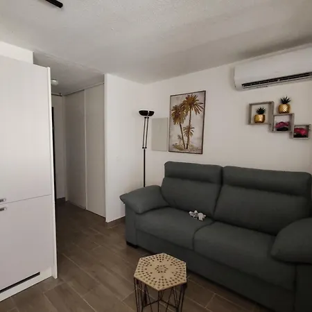 Les Goelettes Location Saisonniere Apartment Saint-Cyprien (Pyrenees-Orientales)