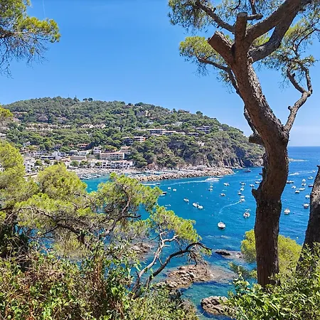 Apartamento Les Goélettes Location Saisonnière Saint-Cyprien (Pyrenees-Orientales)