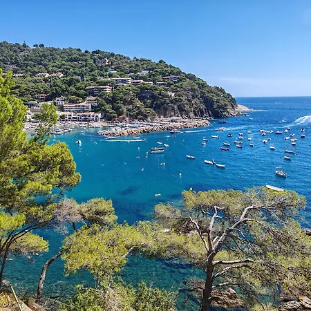 Les Goelettes Location Saisonniere Saint-Cyprien (Pyrenees-Orientales)